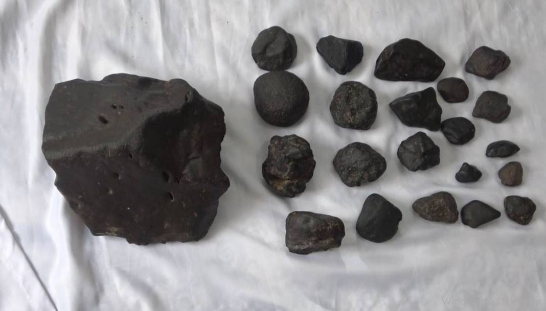 Mantar toplarken bir anda Afet Yönetim Merkezi'ni arayıp, 'Hemen gelin' dedi! Öyle bir manzarayla karşılaştı ki... 12